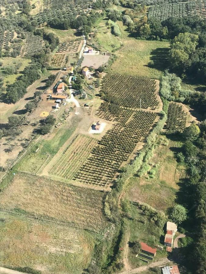 Piccolo Casale A "Le Moline" In Una Vera Fattoria Vetralla Exterior photo