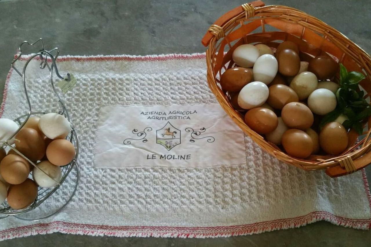 Piccolo Casale A "Le Moline" In Una Vera Fattoria Vetralla Exterior photo